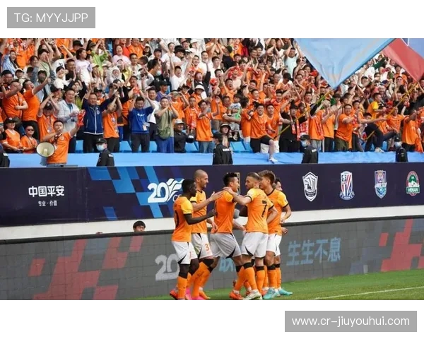 青岛球迷集体抵制足球事件引发全国热议探讨城市体育文化转型方向